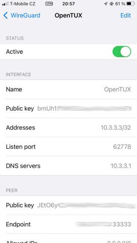 WireGuard iOS Settings